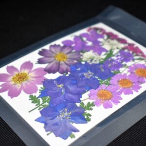 Bouquet "Viola" 9 tipi di fiori pressati