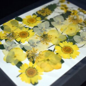 ,,Gelb” Strauß 9 Blumenarten