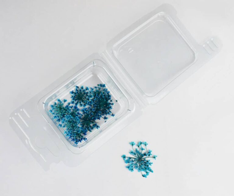 Trockenblumen Blau Blüten