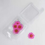 Trockenblumen Kamille Chiara 12-tlg.