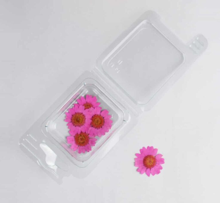 Trockenblumen Kamille Chiara 12-tlg.