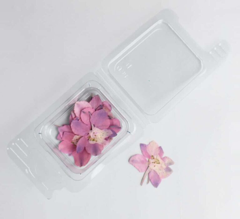 Trockenblumen Rosa Blüten