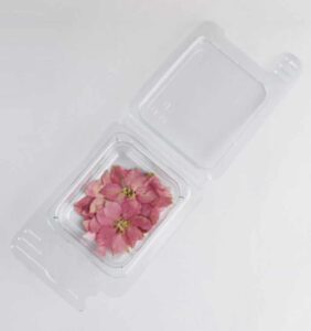 Trockenblumen Rosa Cipria Blüten