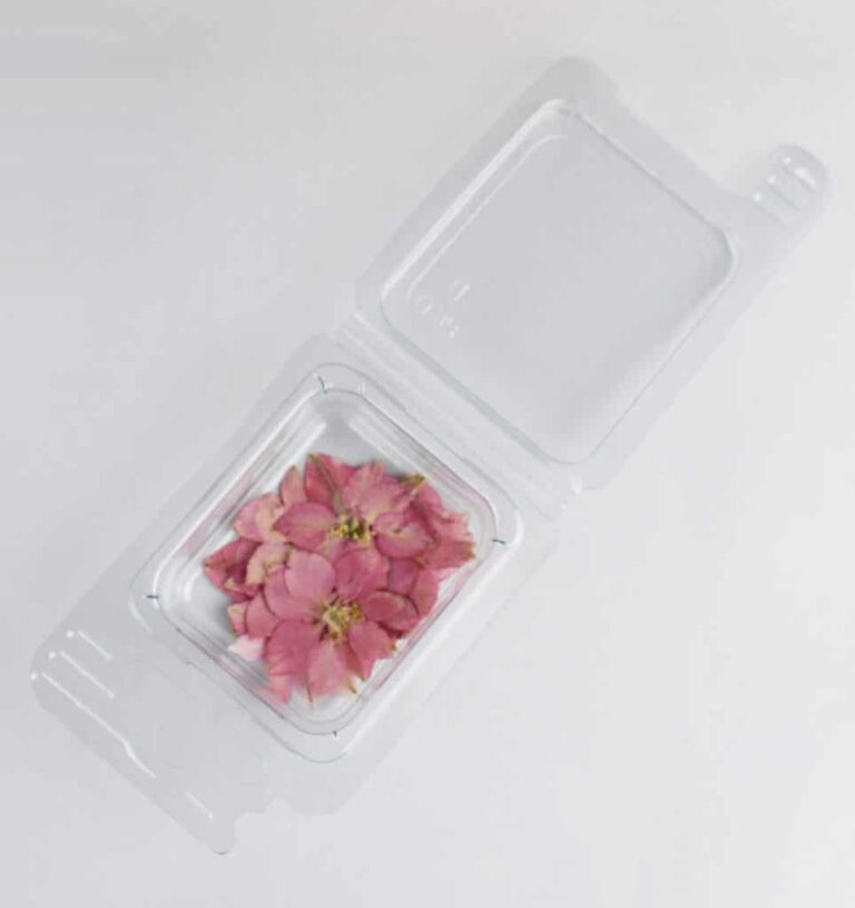 Trockenblumen Rosa Cipria Blüten