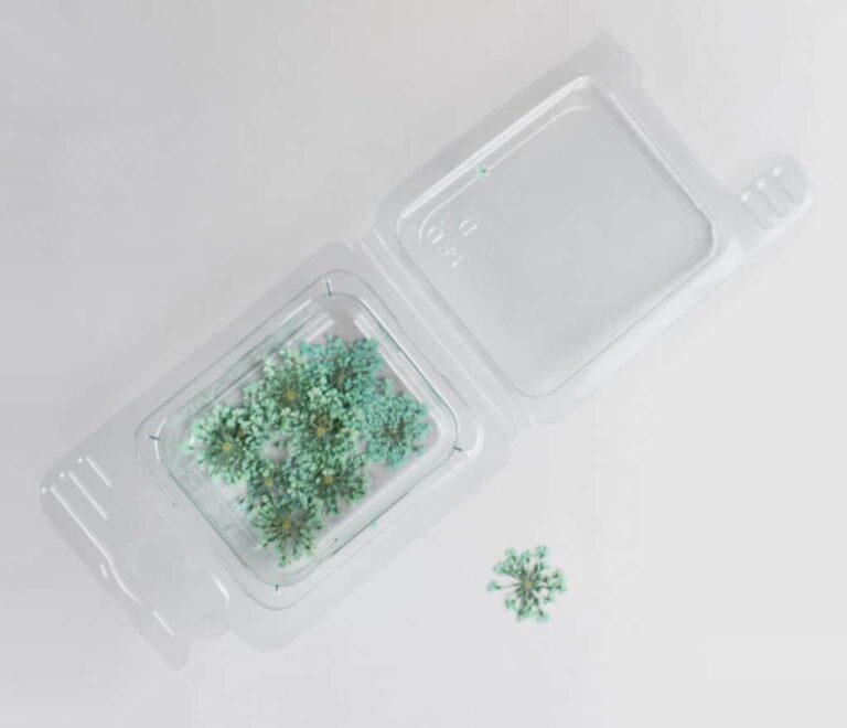 Trockenblumen Chiari Blüten