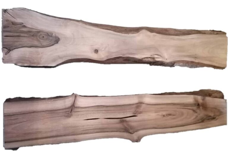 2 SPANISCHE NUSSBAUM ÄSTE 120-130CM X 4,5CM STARK - Gestalte deinen ersten River-Tisch