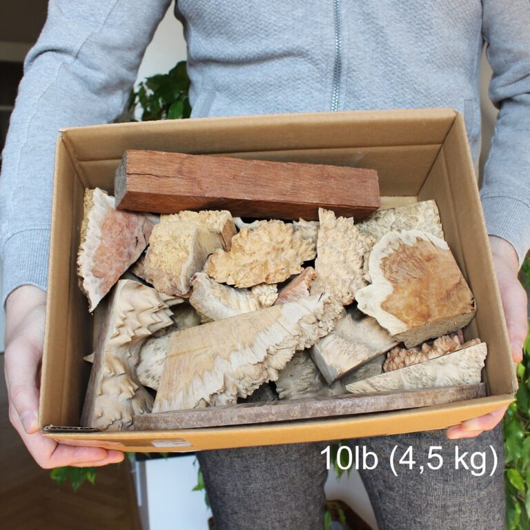 Gemischte Abschnitte von Eukalyptus für exklusive Kreationen! - 4,5 kg