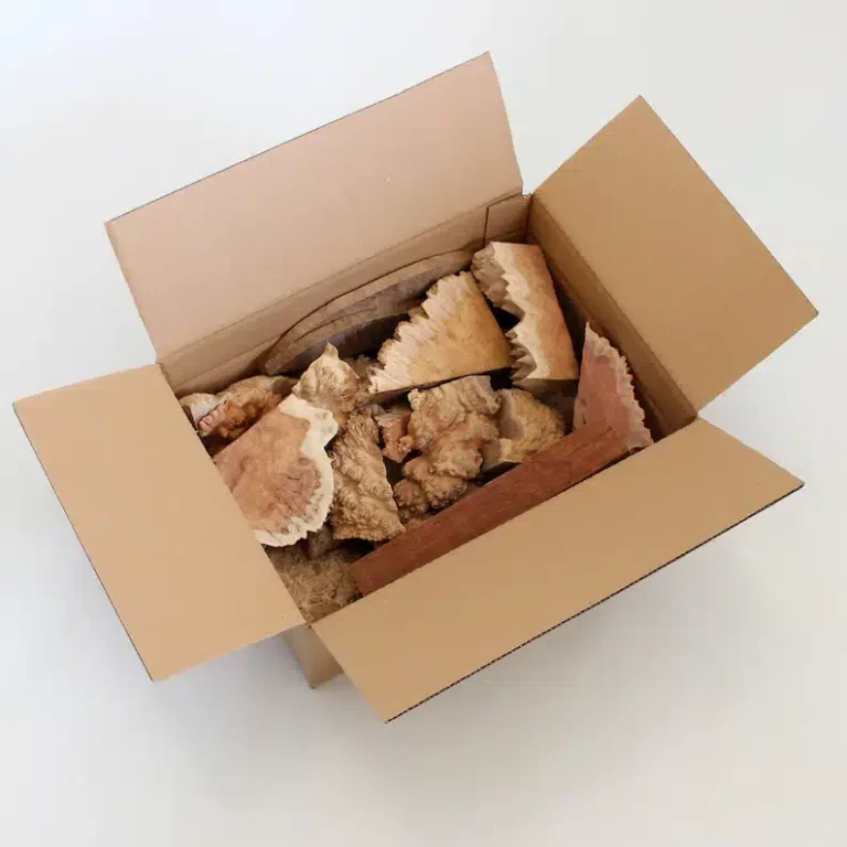 Gemischte Abschnitte von Eukalyptus für exklusive Kreationen!