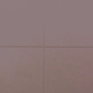 RAL-3007
