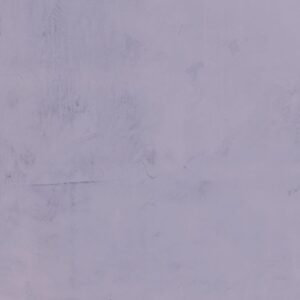 RAL-4011