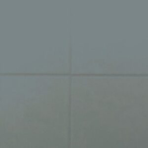 RAL-5001