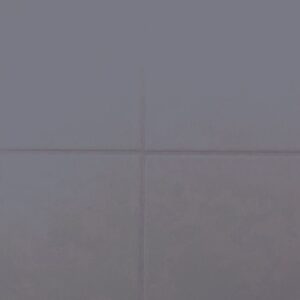 RAL-5003