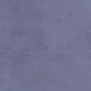 RAL-5005