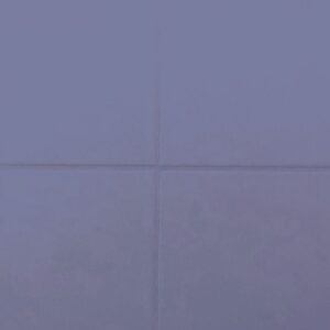 RAL-5005