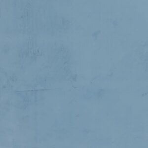 RAL-5007