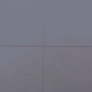 RAL-5013