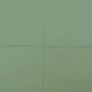 RAL-6002