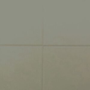 RAL-6003