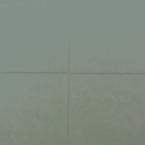 RAL-6005