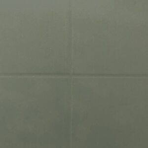 RAL-6007
