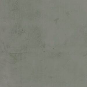 RAL-6007