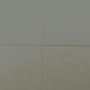 RAL-6009