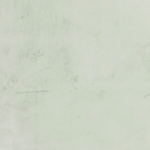 RAL-6019