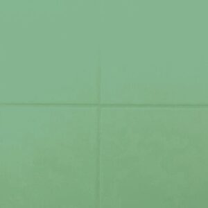 RAL-6024