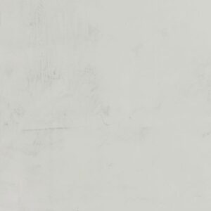 RAL-9018